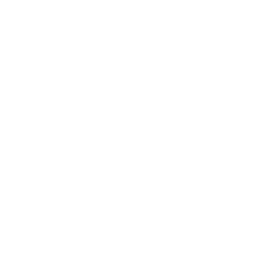 steico